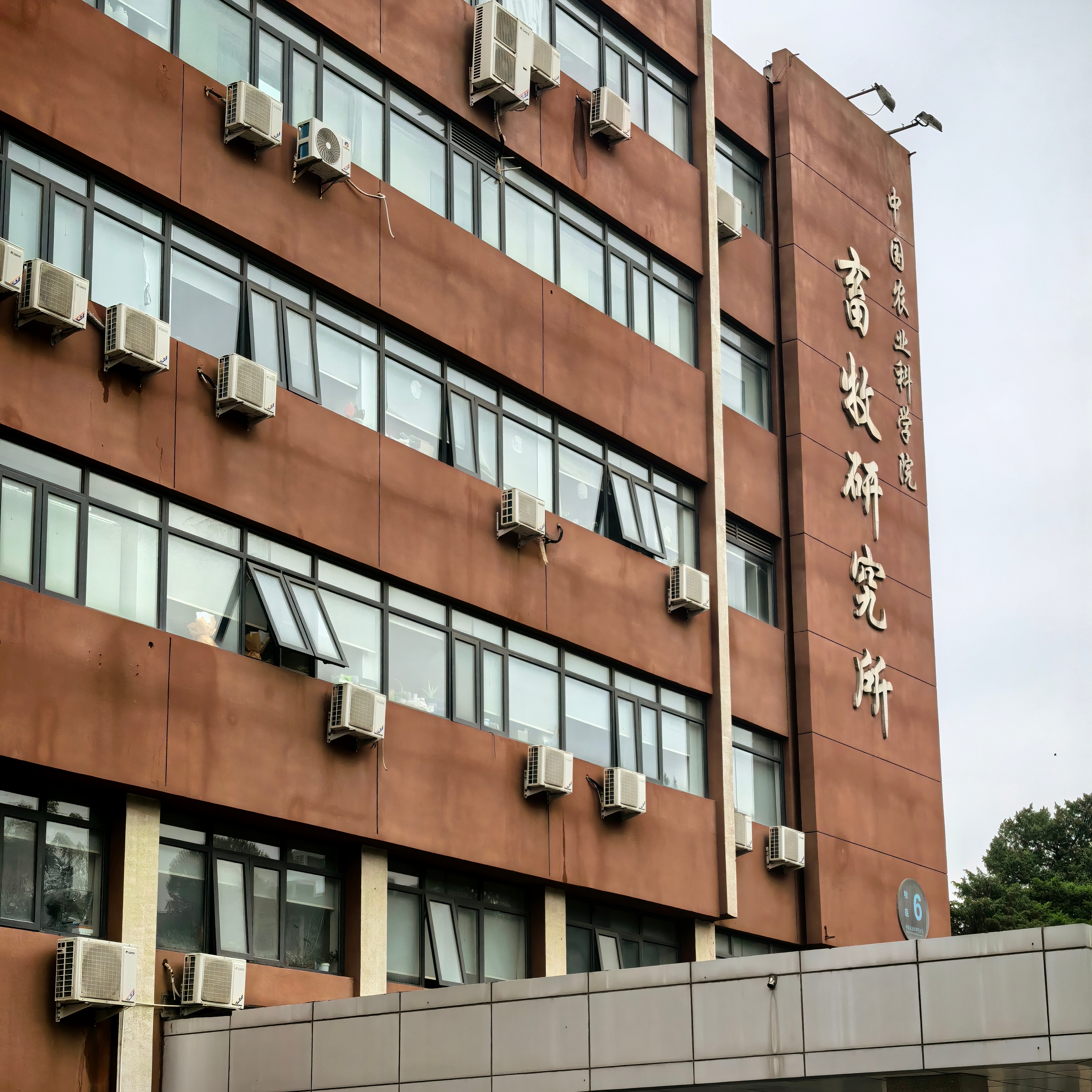 隱智科儀助力中國農(nóng)學(xué)院畜牧研究所實驗室搬遷成功案例